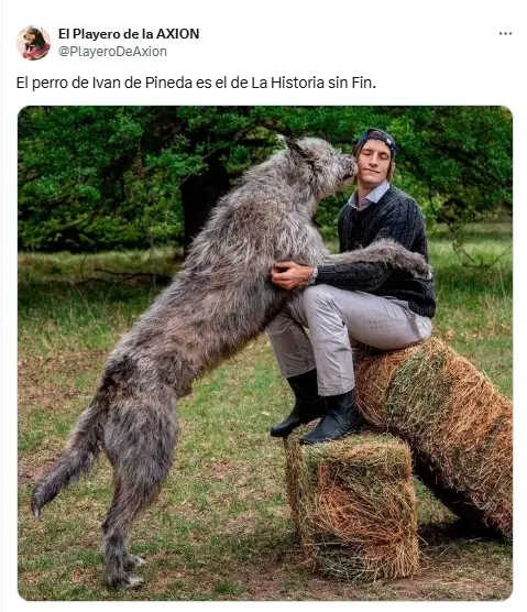 perro, caninos, mascotas